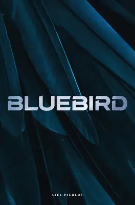 Niebieski ptak - Bluebird