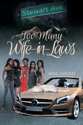 Zbyt wiele żon - Too Many Wife-in-Laws