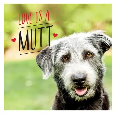 Love Is a Mutt: Psie święto najsłodszych ras mieszanych i krzyżówek na świecie - Love Is a Mutt: A Dog-Tastic Celebration of the World's Cutest Mixed and Cross Breeds