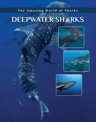 Rekiny głębinowe - Deepwater Sharks