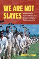 Nie jesteśmy niewolnikami: Przemoc państwa, praca przymusowa i prawa więźniów w powojennej Ameryce - We Are Not Slaves: State Violence, Coerced Labor, and Prisoners' Rights in Postwar America