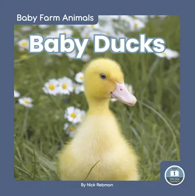 Małe kaczki - Baby Ducks