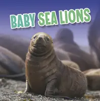 Małe lwy morskie - Baby Sea Lions