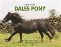 Duch kucyka z Dales - Spirit of the Dales Pony