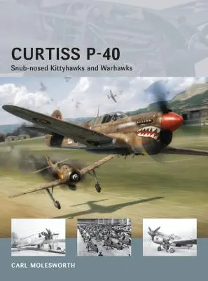 Curtiss P-40: Kittyhawki i Warhawki ze skośnymi nosami - Curtiss P-40: Snub-Nosed Kittyhawks and Warhawks