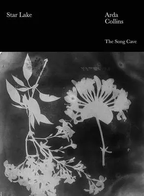 Gwiezdne jezioro - Star Lake