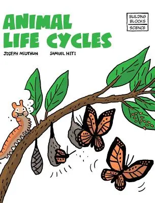 Cykle życia zwierząt - Animal Life Cycles