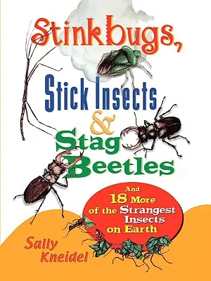 Śmierdzące robale, owady patyczaki i chrząszcze jelonki rogacze: I 18 innych najdziwniejszych owadów na Ziemi - Stink Bugs, Stick Insects, and Stag Beetles: And 18 More of the Strangest Insects on Earth