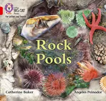 Rock Pools - Band 02b/Red B