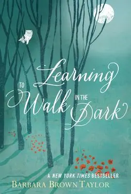 Nauka chodzenia w ciemności: Ponieważ czasami Bóg pojawia się w nocy - Learning to Walk in the Dark: Because Sometimes God Shows Up at Night