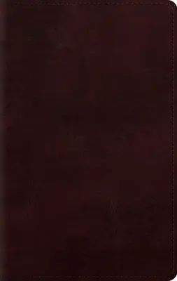 Biblia Osobista w Dużym Nakładzie-ESV - Large Print Personal Size Bible-ESV