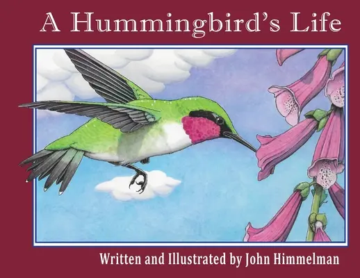 Życie kolibra - A Hummingbird's Life