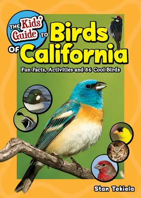 Przewodnik dla dzieci po ptakach Kalifornii: Zabawne fakty, aktywności i 86 fajnych ptaków - The Kids' Guide to Birds of California: Fun Facts, Activities and 86 Cool Birds