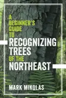 Przewodnik dla początkujących jak rozpoznać drzewa północnego wschodu - A Beginner's Guide to Recognizing Trees of the Northeast