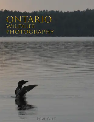 Fotografia dzikiej przyrody Ontario - Ontario Wildlife Photography