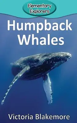 Wieloryby humbaki - Humpback Whales