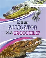 Aligator czy krokodyl? - Is It an Alligator or a Crocodile?