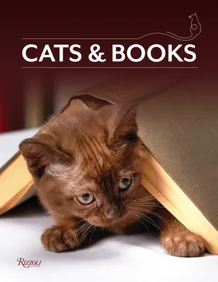 Koty i książki - Cats & Books