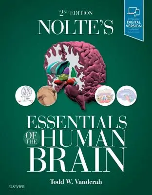 Nolte's Essentials of the Human Brain (Podstawy ludzkiego mózgu) - Nolte's Essentials of the Human Brain