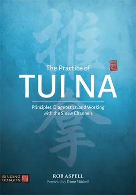 Praktyka Tui Na: Zasady, diagnostyka i praca z kanałami ścięgien - The Practice of Tui Na: Principles, Diagnostics and Working with the Sinew Channels