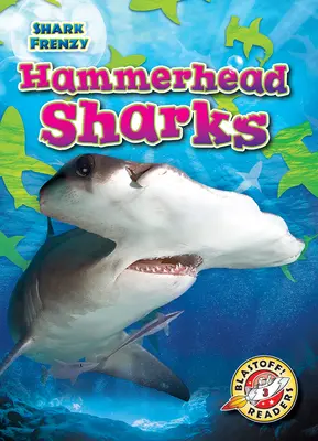 Rekiny młoty - Hammerhead Sharks