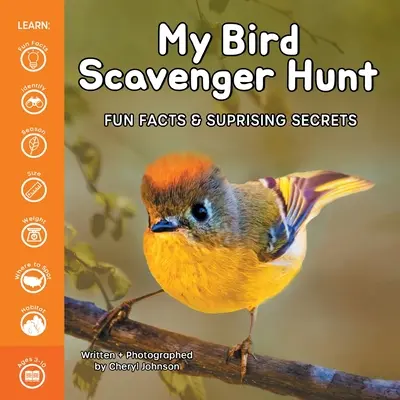 Moje polowanie na ptaki - My Bird Scavenger Hunt