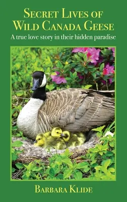 Sekretne życie dzikich gęsi kanadyjskich: Prawdziwa historia miłosna w ich ukrytym raju - Secret Lives of Wild Canada Geese: A true love story in their hidden paradise