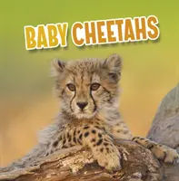 Małe gepardy - Baby Cheetahs