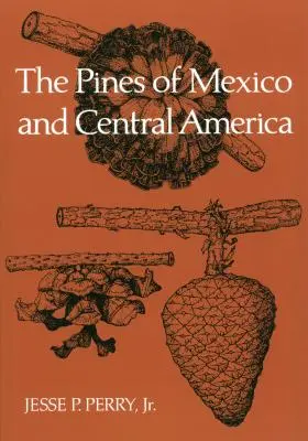 Sosny Meksyku i Ameryki Środkowej - The Pines of Mexico and Central America