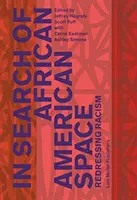 W poszukiwaniu afroamerykańskiej przestrzeni: Redressing Racism - In Search of African American Space: Redressing Racism