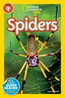 Pająki - Spiders