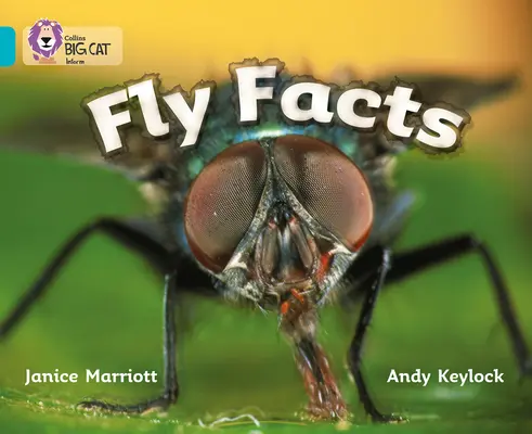 Odlotowe fakty - Fly Facts