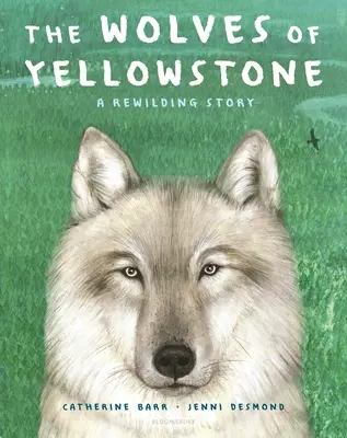 Wilki z Yellowstone: Historia odrodzenia - The Wolves of Yellowstone: A Rewilding Story