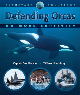 Obrona orków: koniec z niewolą - Defending Orcas: No More Captivity