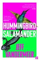 Koliber Salamandra - Hummingbird Salamander