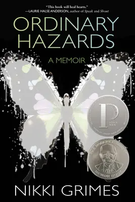 Zwykłe zagrożenia: Pamiętnik - Ordinary Hazards: A Memoir