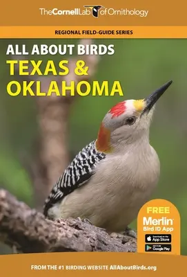 Wszystko o ptakach Teksas i Oklahoma - All about Birds Texas and Oklahoma