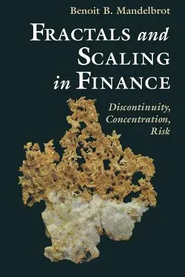 Fraktale i skalowanie w finansach: Nieciągłość, Koncentracja, Ryzyko. Selecta Volume E - Fractals and Scaling in Finance: Discontinuity, Concentration, Risk. Selecta Volume E