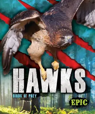 Jastrzębie: ptaki drapieżne - Hawks: Birds of Prey