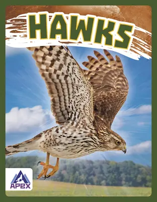 Sępy - Hawks