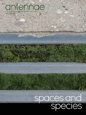 Antennae #56 Przestrzenie i gatunki - Antennae #56 Spaces and Species