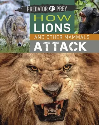 Drapieżnik kontra ofiara: Jak atakują lwy i inne ssaki! - Predator Vs Prey: How Lions and Other Mammals Attack!