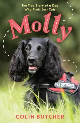 Molly: Prawdziwa historia psa, który ratuje zagubione koty - Molly: The True Story of the Dog Who Rescues Lost Cats