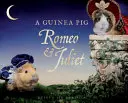 Świnka morska Romeo i Julia - Guinea Pig Romeo & Juliet
