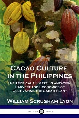 Kultura kakao na Filipinach: Tropikalny klimat, plantacja, zbiory i ekonomia uprawy kakaowca - Cacao Culture in the Philippines: The Tropical Climate, Plantation, Harvest and Economics of Cultivating the Cacao Plant