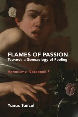 Płomienie namiętności: W stronę genealogii uczuć Aforyzmy: Zeszyt F - Flames of Passion: Towards of a Genealogy of Feeling Aphorisms: Notebook F