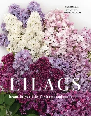 Bzy: Piękne odmiany do domu i ogrodu - Lilacs: Beautiful Varieties for Home and Garden