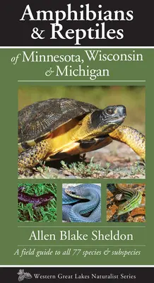 Płazy i gady Minnesoty, Wisconsin i Michigan: Przewodnik terenowy po wszystkich 77 gatunkach i podgatunkach - Amphibians & Reptiles of Minnesota, Wisconsin & Michigan: A Field Guide to All 77 Species & Subspecies