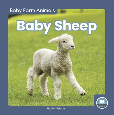 Małe owce - Baby Sheep