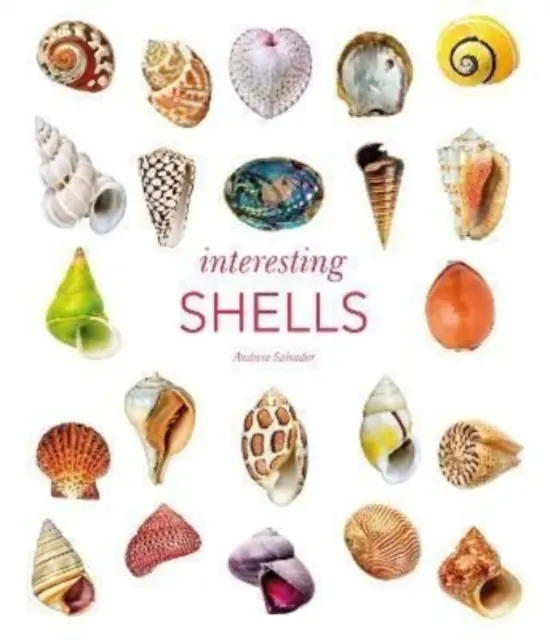 Ciekawe muszle - Interesting Shells